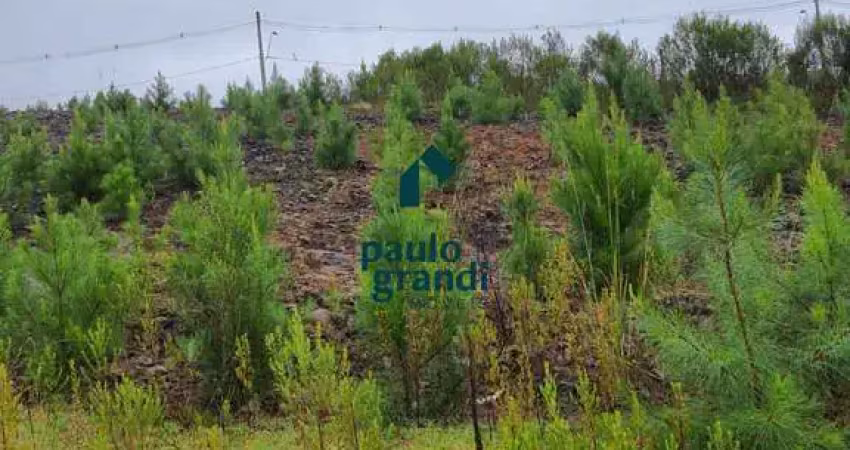 Terreno à venda na Rua Sérgio Luiz Alvez Nazario, lote 6, São Giácomo, Caxias do Sul