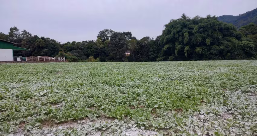 Lindo sítio à venda no centro de leoberto leal – 8.335 m² de oportunidade!