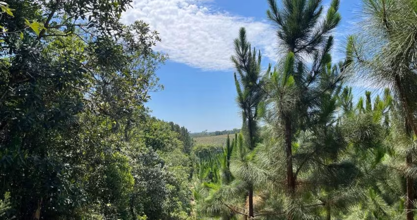 Fazenda à venda no Indaiatuba/Matão, Buri 