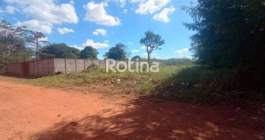 Área para alugar, Morada dos Pássaros - Uberlândia/MG - Rotina Imobiliária