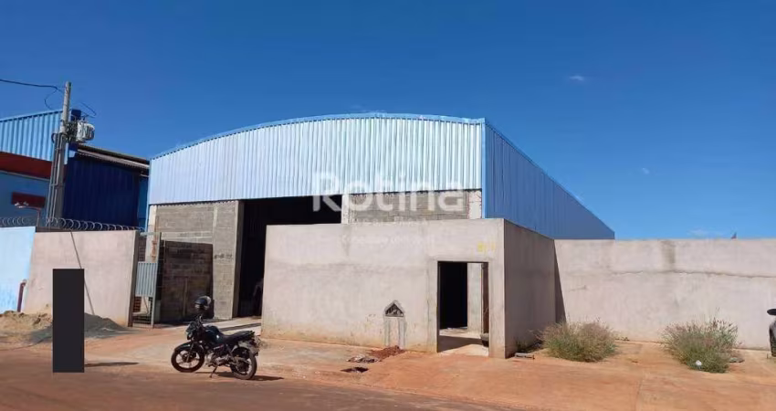 Galpão para alugar, Centro Empresarial Leste - Uberlândia/MG - Rotina Imobiliária