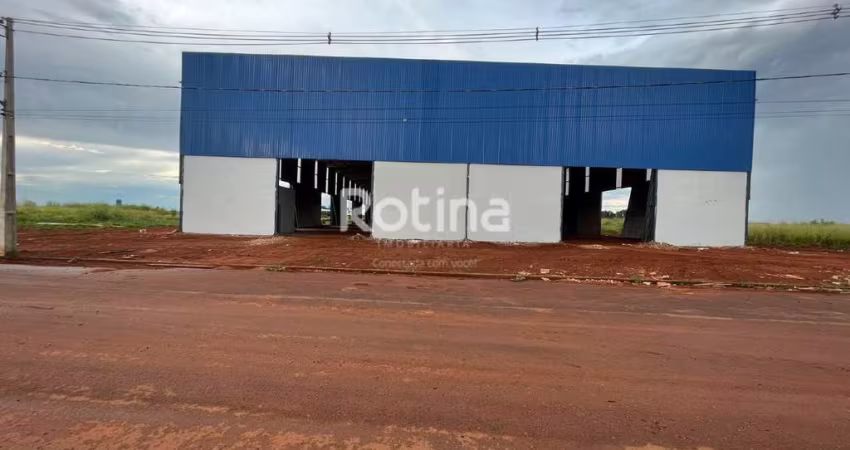 Galpão para alugar, Centro Empresarial Leste - Uberlândia/MG - Rotina Imobiliária