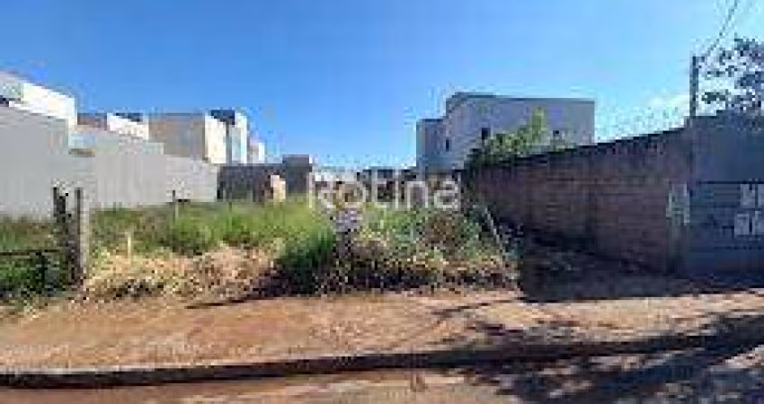 Terreno para alugar, Novo Mundo - Uberlândia/MG - Rotina Imobiliária