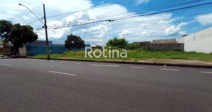 Terreno para alugar, Jardim Botânico - Uberlândia/MG - Rotina Imobiliária