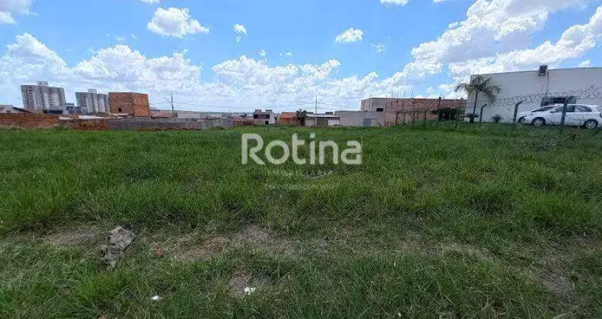 Terreno para alugar, gsp life i - uberlândia/mg - rotina imobiliária