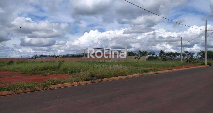 Terreno para alugar, Verde Vida - Uberlândia/MG - Rotina Imobiliária