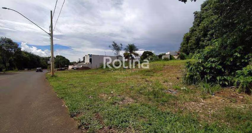 Área para alugar, Daniel Fonseca - Uberlândia/MG - Rotina Imobiliária