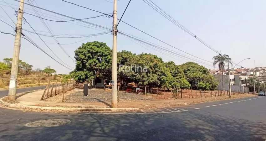 Terreno para alugar, Jardim Patrícia - Uberlândia/MG - Rotina Imobiliária