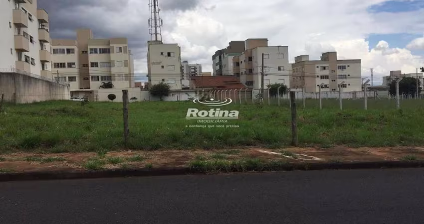 Terreno para alugar, Santa Mônica - Uberlândia/MG - Rotina Imobiliária