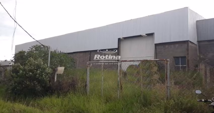 Galpão para alugar, Distrito Industrial - Uberlândia/MG - Rotina Imobiliária