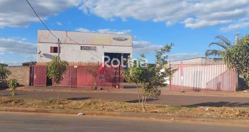 Galpão para alugar, Segismundo Pereira - Uberlândia/MG - Rotina Imobiliária