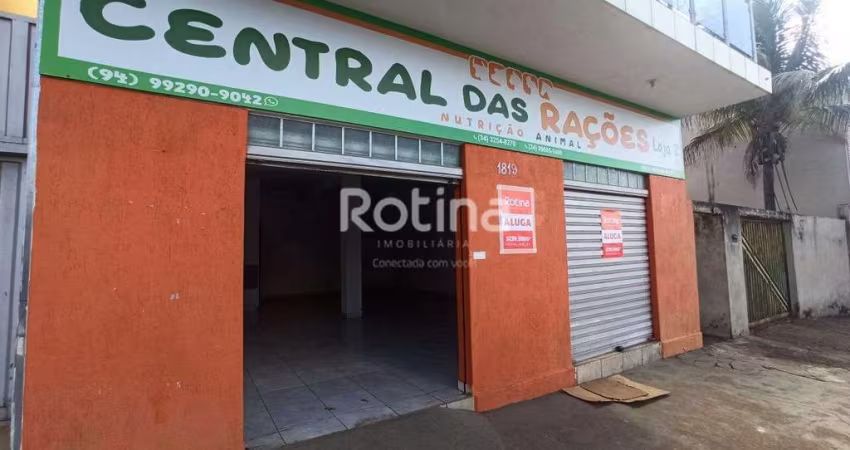 Loja para alugar, Minas Gerais - Uberlândia/MG - Rotina Imobiliária