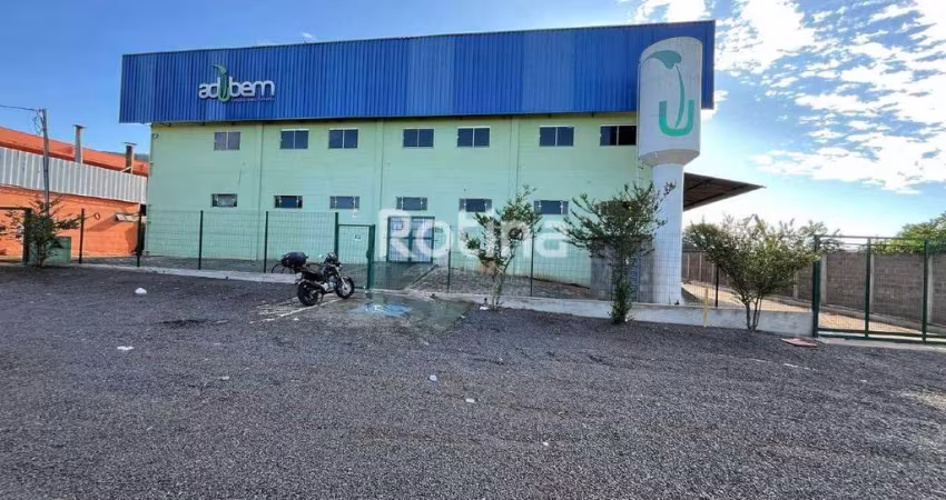 Galpão para alugar, Distrito Industrial - Uberlândia/MG - Rotina Imobiliária