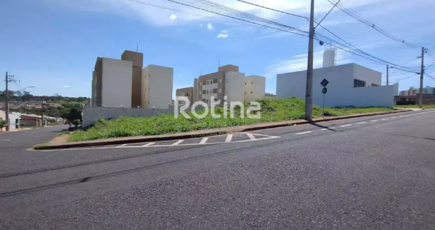 Terreno para alugar, shopping park - uberlândia/mg - rotina imobiliária