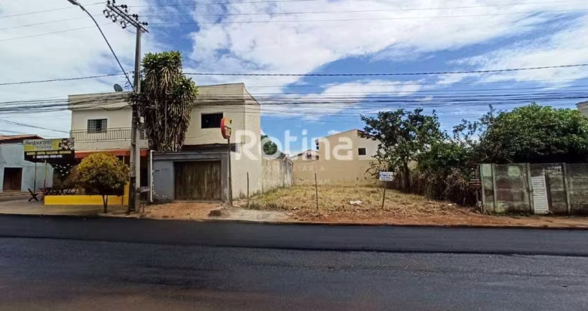 Terreno para alugar, Alto Umuarama - Uberlândia/MG - Rotina Imobiliária