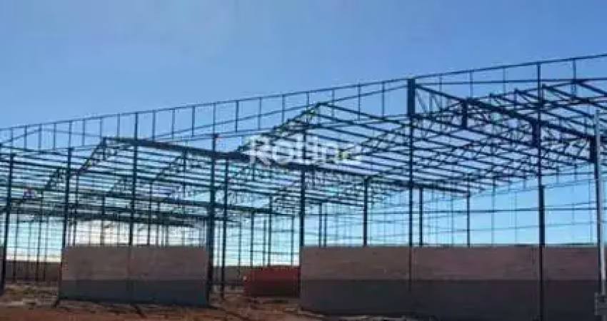 Galpão para alugar, loteamento centro empresarial leste i - uberlândia/mg - rotina imobiliária