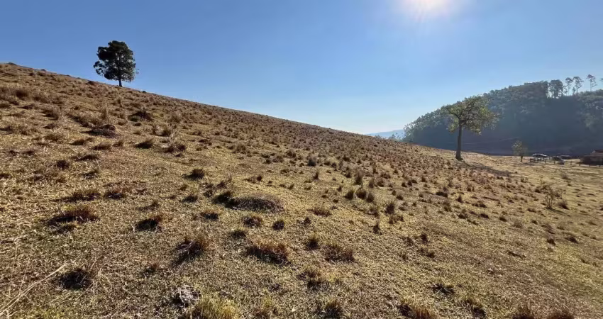 Fazenda à venda em  itapeva-mg, com 29,7 alqueires - localização privilegiada!