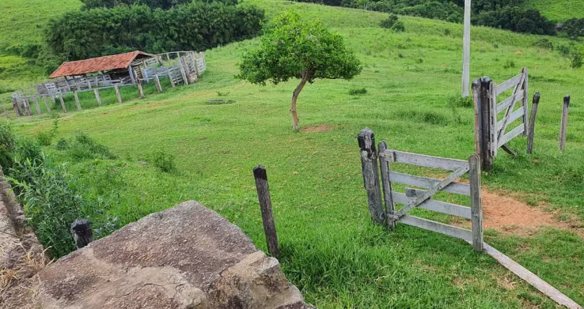 Fazenda com 60 alqueires em munhoz/mg – divisa com socorro/sp
