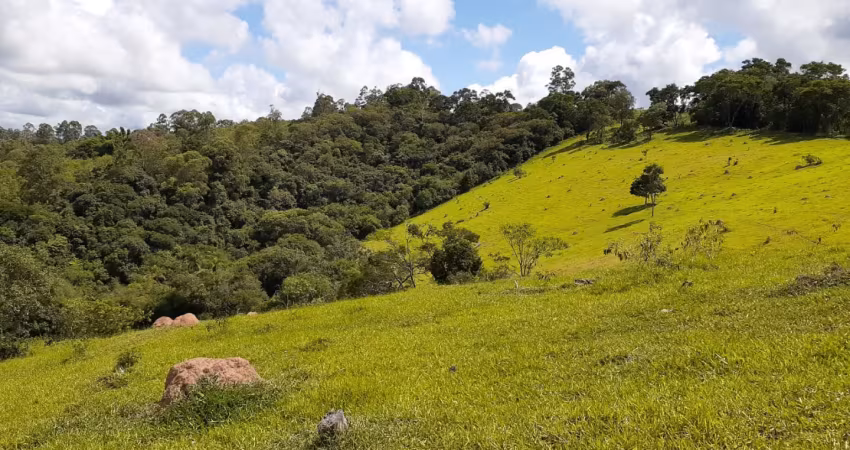 Chácara / sítio à venda na Praça São Lázaro, Zona Rural, Pinhalzinho