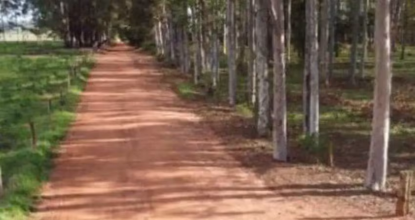 Gleba para venda em cianorte, área rural de cianorte