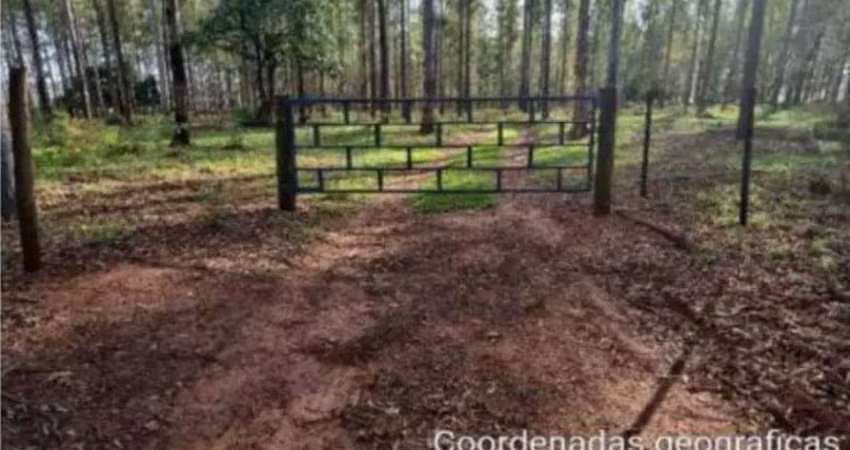Sítio para venda em cianorte, área rural de cianorte