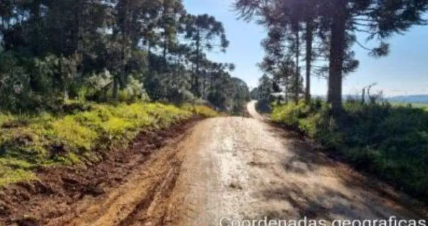 Chácara / sítio à venda na Linha Faxinal dos Santos - Quinhão 30 - Fazenda Sto Antonio, 00, Centro, General Carneiro