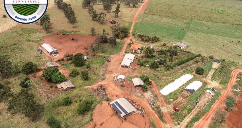 FAZENDA REFERÊNCIA DE PECUÁRIA MODERNA EM NOVA LONDRINA - PR