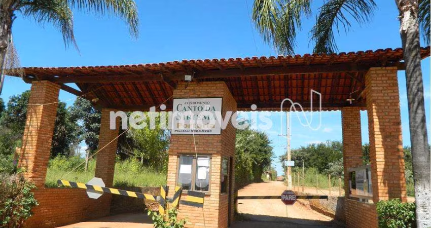 Terreno à venda no bairro Recanto das Araras II com 2176 m² - Oportunidade!