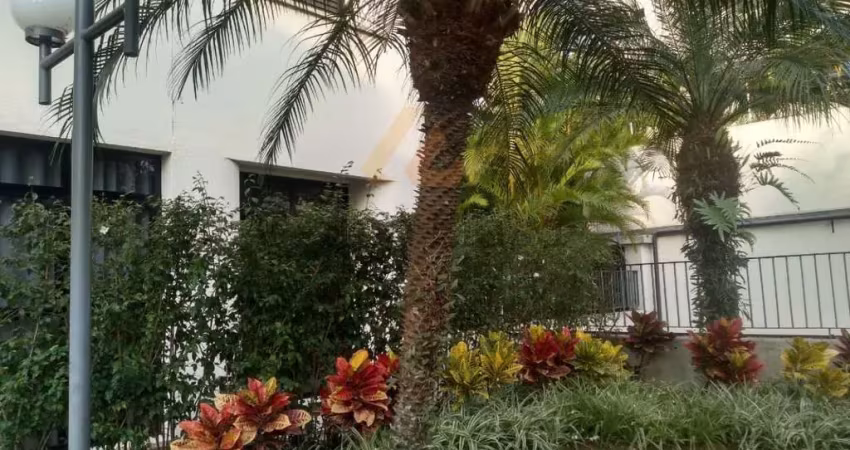 Apartamento locação 2 dormitorios ,sala , terraço ,banheiro, 1vaga
