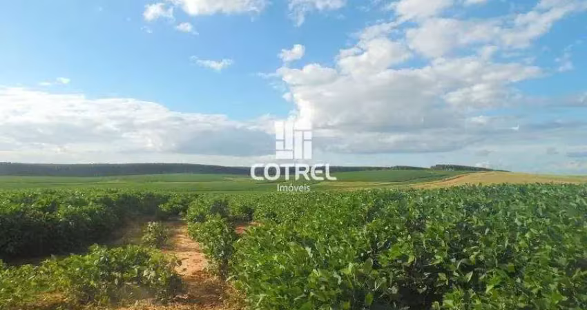 Fazenda à venda na 534, 534, Zona Rural, Cacequi