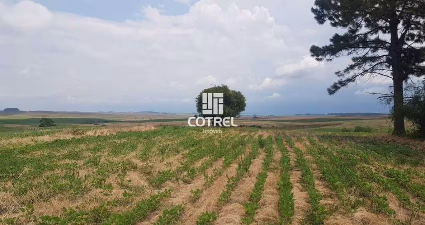 Campo com 200 hectares em São Gabriel/RS