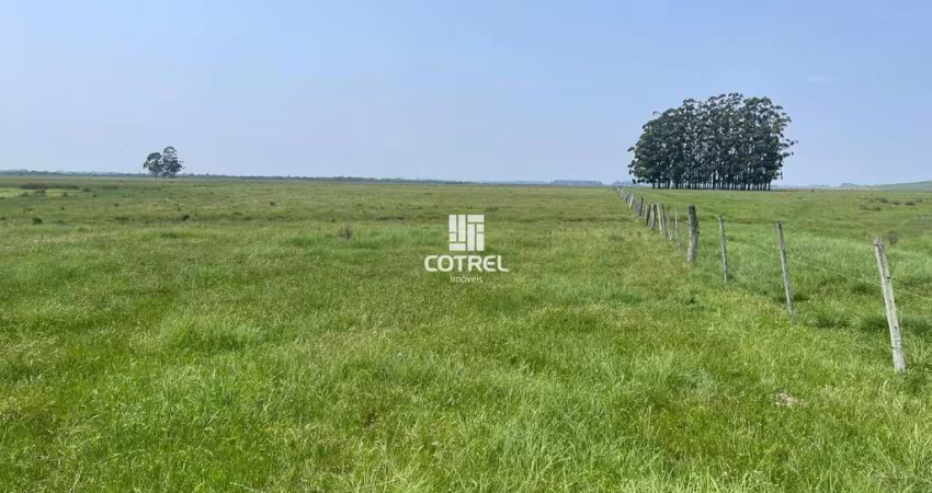 Fazenda para venda com 217 ha localizada na cidade de Sant'Ana do Livramento/RS.