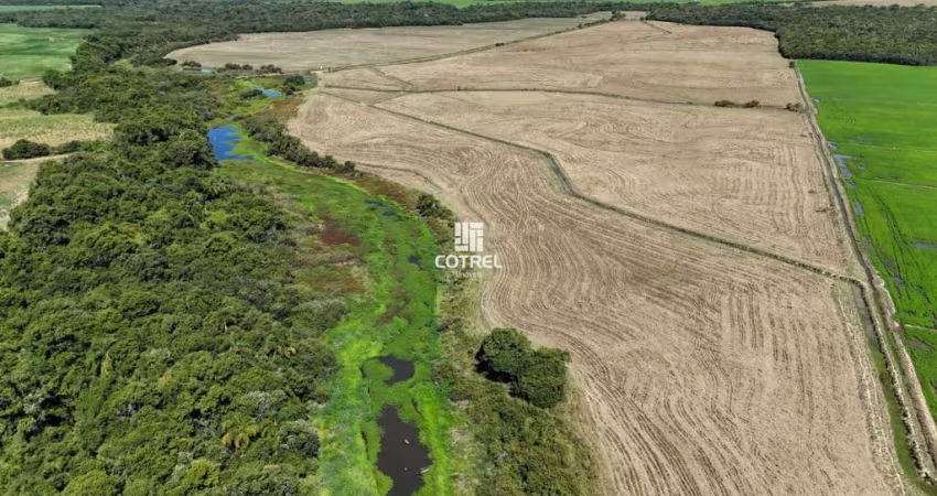 Campo para venda com 94 hectares em São Sepé/RS