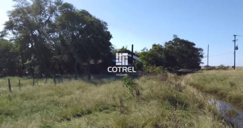Fazenda para venda com 169 hectares em Alegrete/RS
