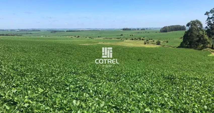 Chácara / sítio à venda na Boa vista do Incra, Boa vista , Zona Rural, Boa Vista do Incra