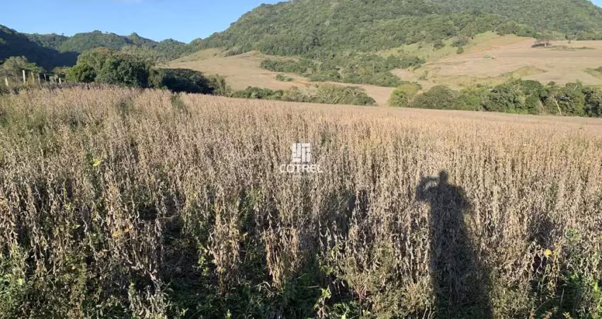 Chácara / sítio à venda na 176, 176, Zona Rural, São Pedro do Sul