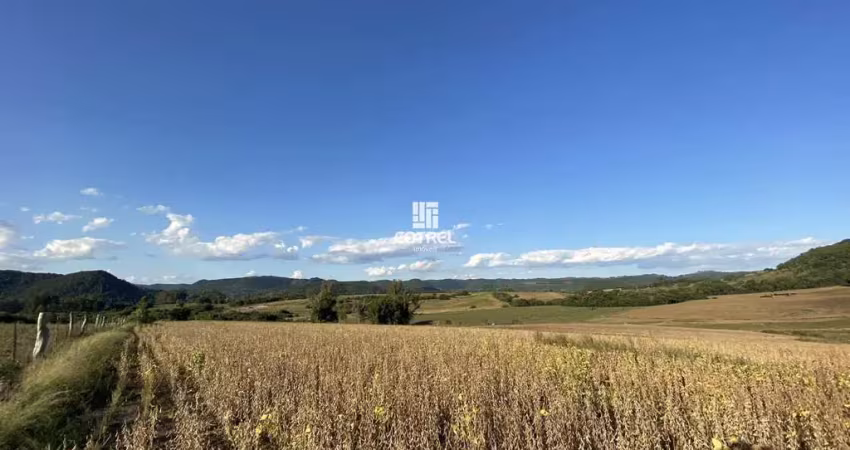 Campo para à venda com 28,54 hectares localizado em são martinho da serra/rs