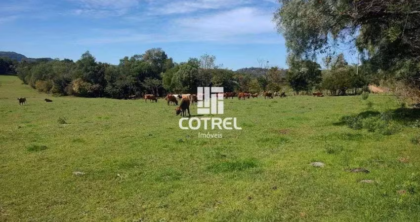 Campo para venda com 34 hectares a 18 km de santa maria/rs
