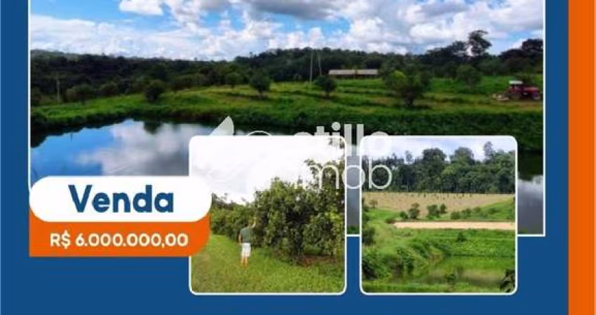 FAZENDA COM 80 HECTARES EM RIO PRETO DA EVA (P)