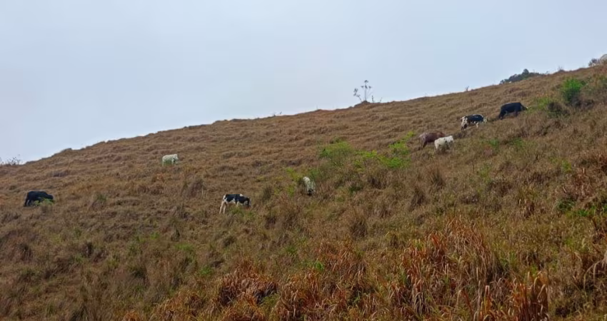 Sítio em Lima Duarte, MG 10 Hectares