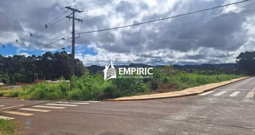 Terreno à venda na Rua Waldemar Roesler, 3000, Cará-cará, Ponta Grossa