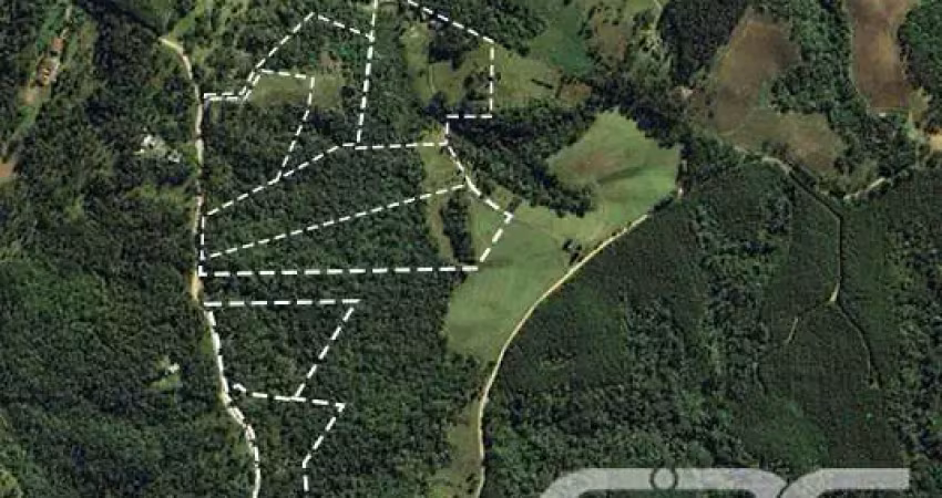 Chácara / sítio com 3 quartos à venda na Estrada Municipal Laranjeiras, Bateias de Baixo, Campo Alegre