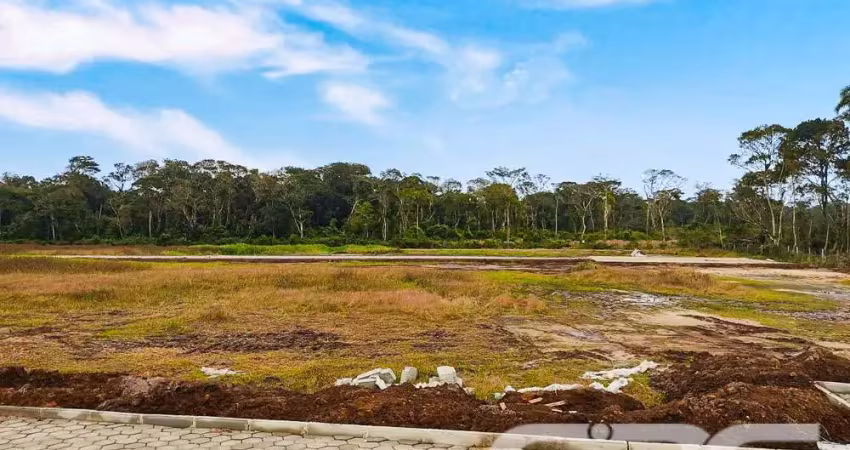 Terreno à venda na Rua Lagoa, Praia do Ervino, São Francisco do Sul