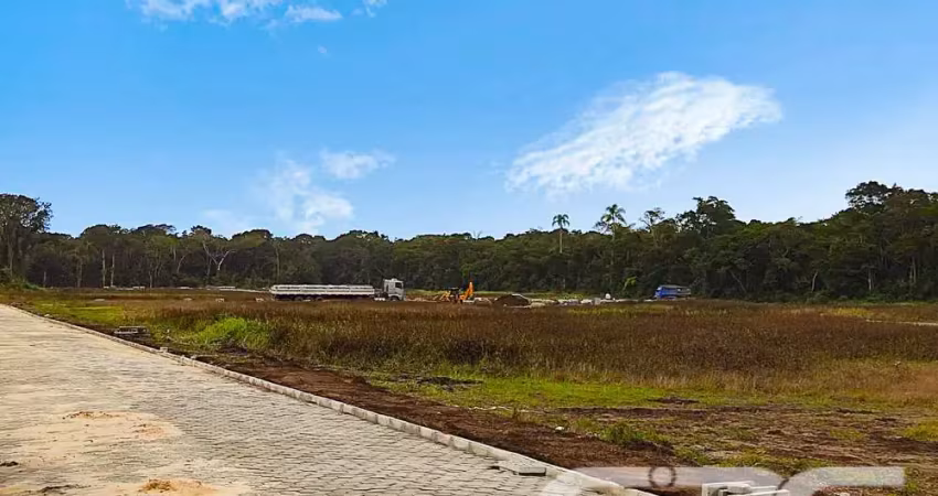 Terreno à venda na Rua Lagoa, Praia do Ervino, São Francisco do Sul