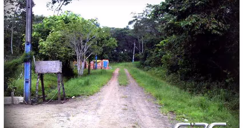 Terreno à venda na Nereu Ramos, Salinas, Balneário Barra do Sul