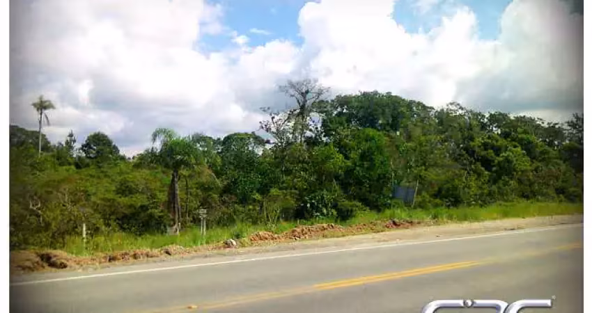 Chácara / sítio à venda na Perequê, Pinheiros, Balneário Barra do Sul