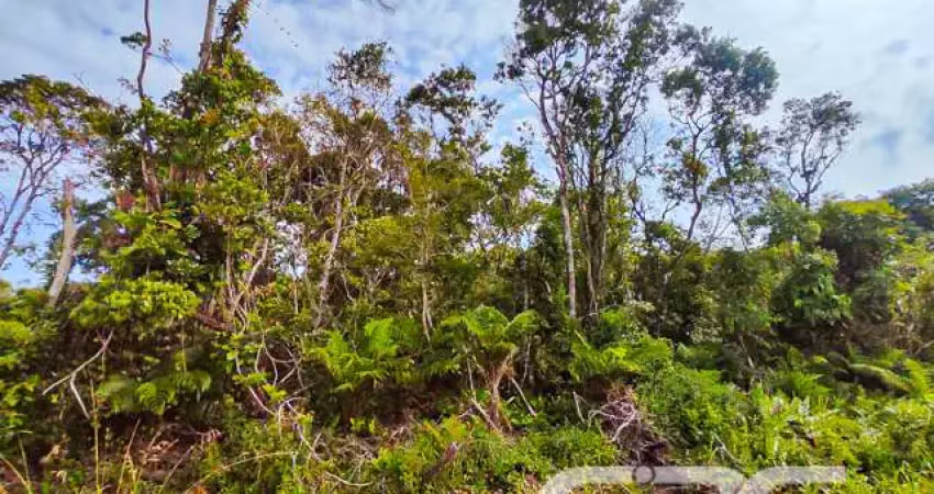 Terreno à venda na Rua Checoslováquia, Praia do Ervino, São Francisco do Sul