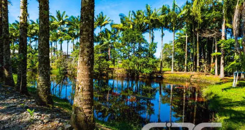 Chácara / sítio com 2 quartos à venda na Perequê, 871, Pinheiros, Balneário Barra do Sul