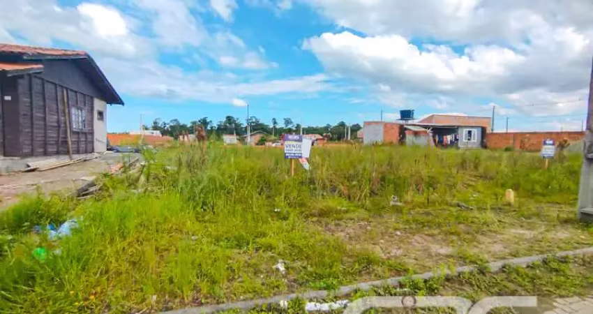 Terreno à venda na Rua Maria Ambrosina Tavares Eccel, Colégio Agrícola, Araquari