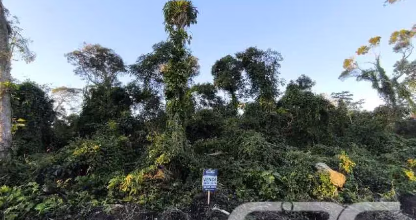 Terreno à venda na Nereu Ramos, Salinas, Balneário Barra do Sul